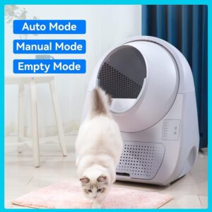 Best Automated Self-Cleaning Litter Boxes
