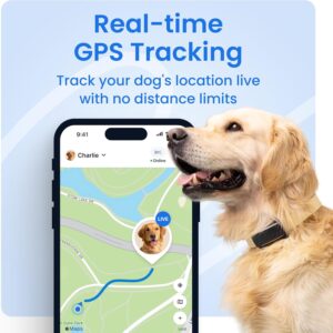 Fi Series 3 vs Series 3+ vs Tractive GPS dog tracker comparison