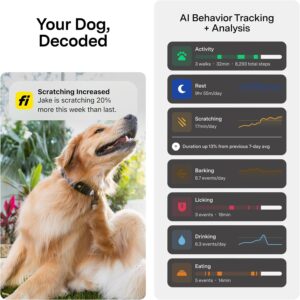 Fi Series 3 vs Series 3+ vs Tractive GPS dog tracker comparison