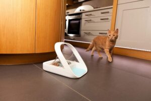 Best Microchip Cat Feeders for Prescription Diets