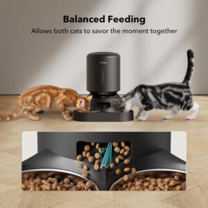 Petlibro Granary Smart Feeder 2026 review with 5L capacity and WiFi app control Image Caption