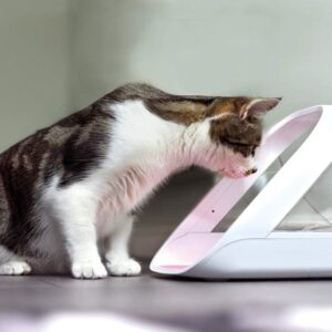 Petlibro Granary vs SureFeed Microchip smart cat feeder comparison