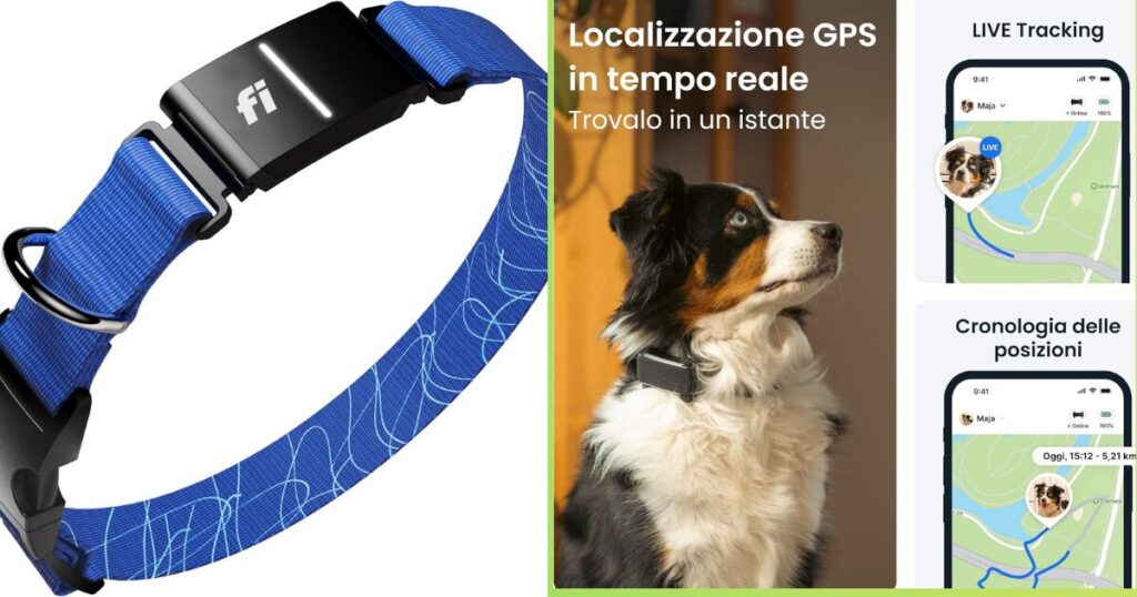 Fi Series 3 vs. Tractive GPS