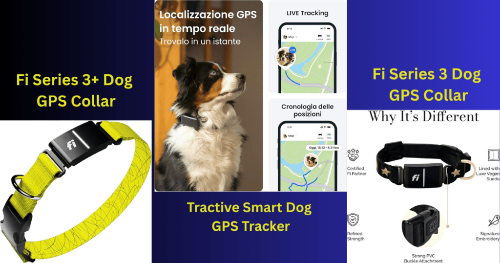 Fi Series 3 vs Series 3+ vs Tractive GPS dog tracker comparison