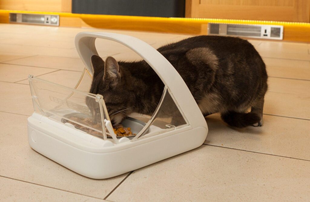 Microchip cat feeders for separate prescription diets in a multi-cat home